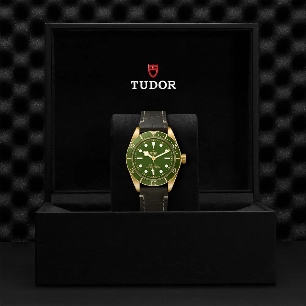 TUDOR Black Bay 58 18ct Gold 39mm Green Dial Watch M79018V-0001