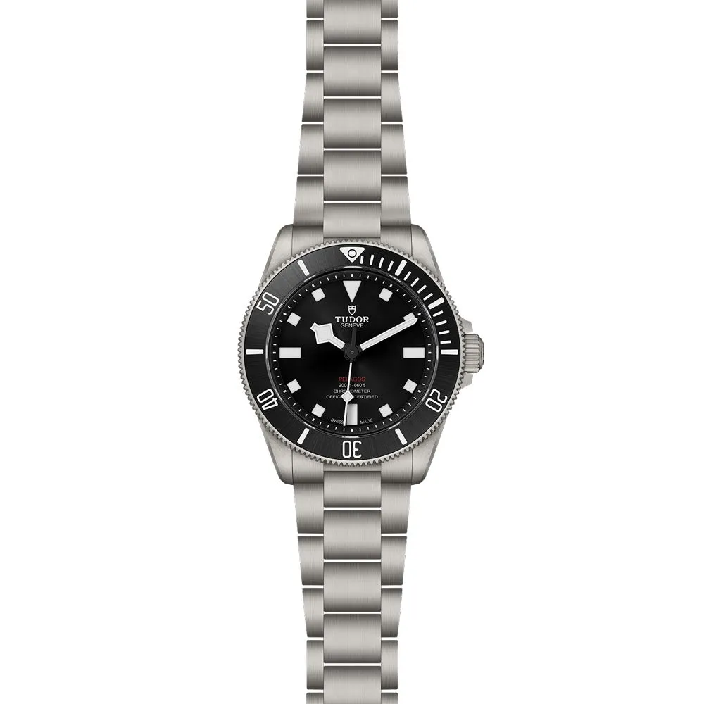 TUDOR Pelagos 39 Black Dial Watch M25407N-0001